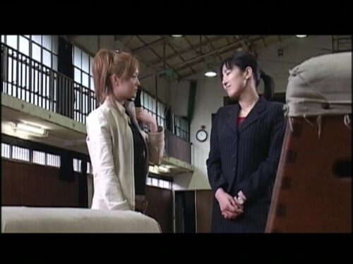 ●校教師 悲しみの素顔