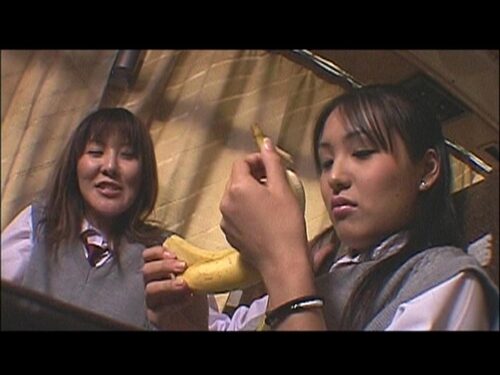 暴行高速バス 囚われの修学旅行