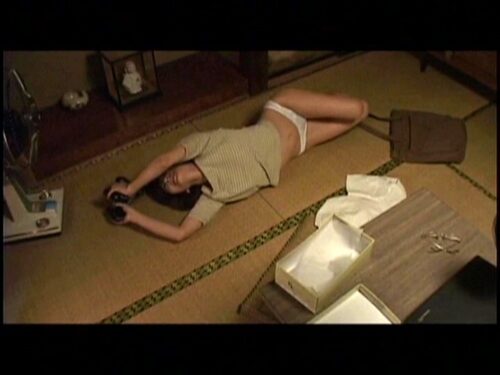 新 ●校教師 ひと夏の思い出