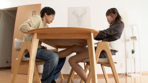 The Horny Big Sister Returns! Final Naughty Holiday