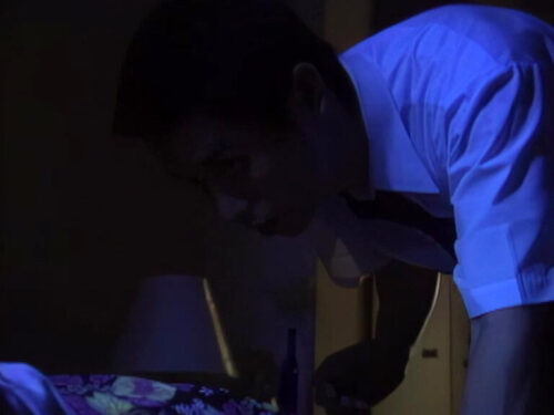 実録性犯罪ファイル 都会の禁猟区