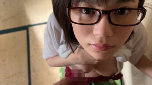 数年ぶりに帰省すると、アラサーの姉は未だに自称家事手伝い(ニート)の喪女だった。 隠れ巨乳の姉(26) 天宮花南