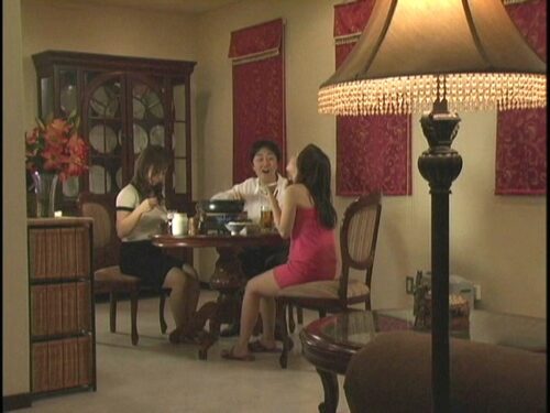 堕ちてゆく人妻 イケない指の戯れ