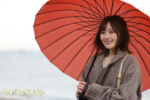 東京都杉●区在住、昼間はスーパーでレジ打ちしている平凡な1児のママがある日突然、サレ妻になった。不倫サレた者同士で衝動的に欝憤をぶつけ合ったら、体の相性が最高すぎて離れられない。 青空ひかり