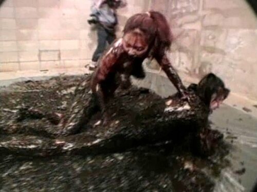 泥レズリング クライマックス最終決戦