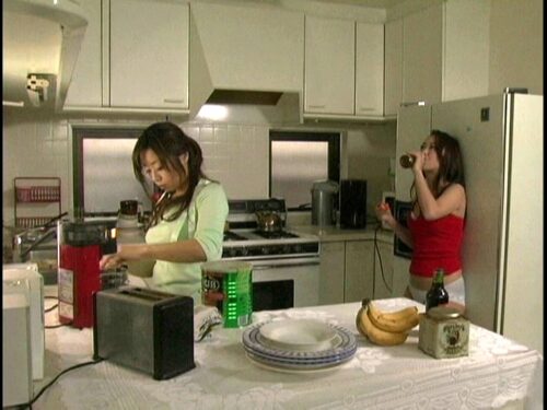 堕ちてゆく人妻 イケない指の戯れ