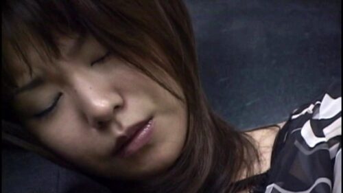 痴●終電車スペシャル 感じる女たち