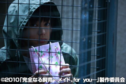 完全なる飼育 メイド、for you