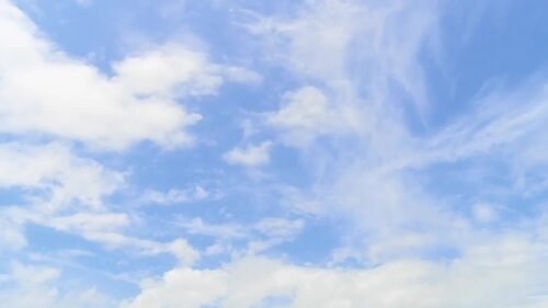 純愛予報 神楽坂茜