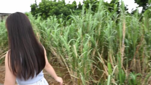 HOLY LOVE 堀みなみ