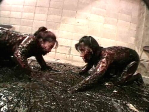 泥レズリング クライマックス最終決戦