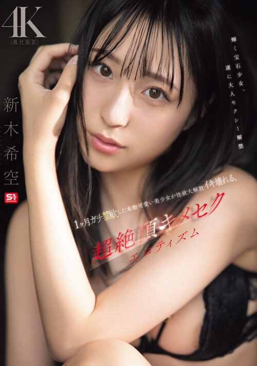 無口で大人しい女生徒になら何しても許してくれるっしょ。教師の俺は陰キャ可愛い図書委員を犯●てイカせまくった。 新木希空