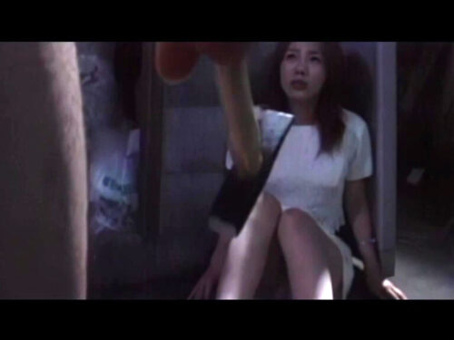 エクスタシー・スペシャル 牝刑事