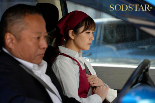 東京都杉●区在住、昼間はスーパーでレジ打ちしている平凡な1児のママがある日突然、サレ妻になった。不倫サレた者同士で衝動的に欝憤をぶつけ合ったら、体の相性が最高すぎて離れられない。 青空ひかり