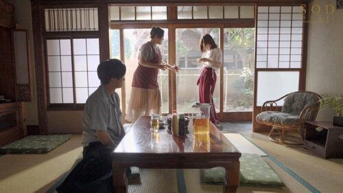 数年ぶりに帰省すると、アラサーの姉は未だに自称家事手伝い(ニート)の喪女だった。 隠れ巨乳の姉(26) 天宮花南