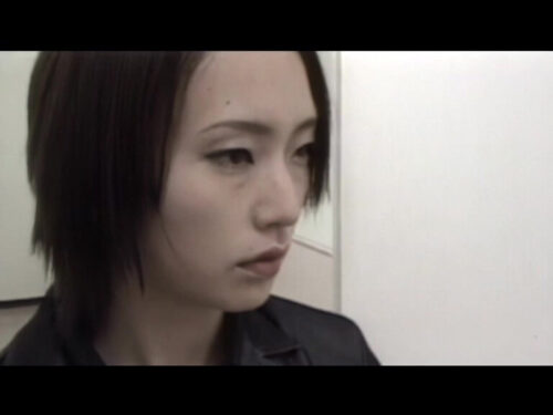 エクスタシー・スペシャル 牝刑事