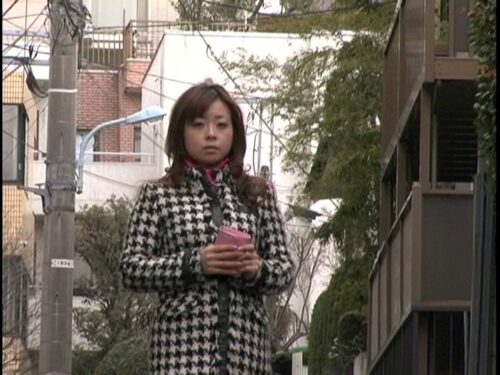 堕ちてゆく人妻 イケない指の戯れ