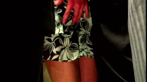 痴●終電車スペシャル 感じる女たち