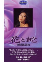 奴●契約書 鞭とハイヒール