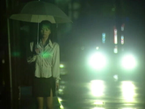 実録性犯罪ファイル 都会の禁猟区