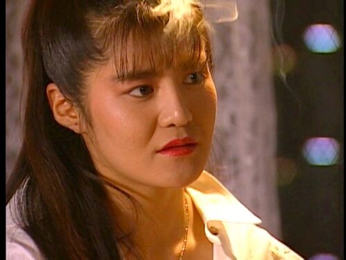 凄絶 激ナマ天下一 南野陽子