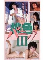 桃色パニック III ~エクスタシーパラダイス~