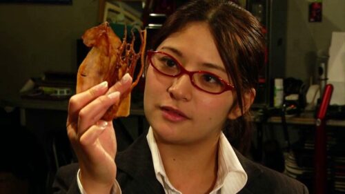 透明変態人間シリーズVol.1 めぐりの透明人間とセックスする女