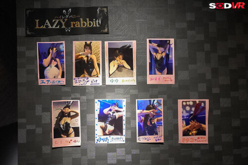 【VR】【8K】雑魚チンポを貶しながらも何度だってヌいてくれて本番までさせてくれる！日本一回転率の悪い罵倒バニーピンサロVR 唯井まひろ