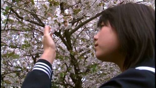 桜サクコロ 篠崎愛