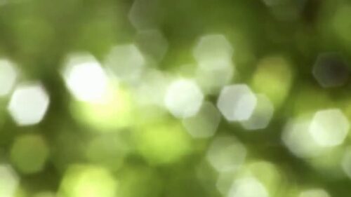 好きな人は誰ですか 伊藤優衣