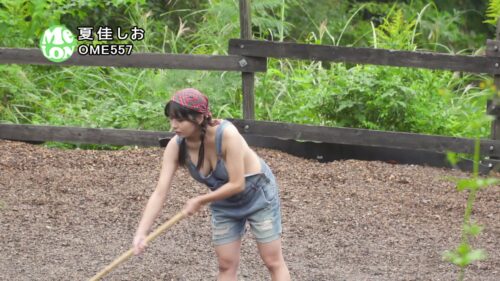 やっかいな地味巨乳 夏佳しお