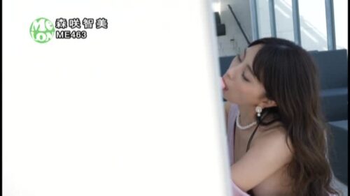 逆ナンセレブ美女と 森咲智美