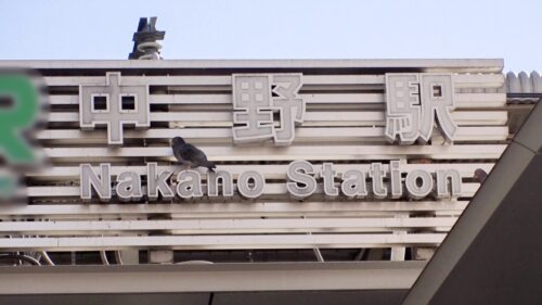 
 「マジ軟派、初撮。 1615 クラシックバレエ講師をナンパ！身体が柔らかすぎる彼女にセックスでバレエ技を披露してもらいました！いつもと違う角度のピストンで知的体験で気持ちよすぎますwww」