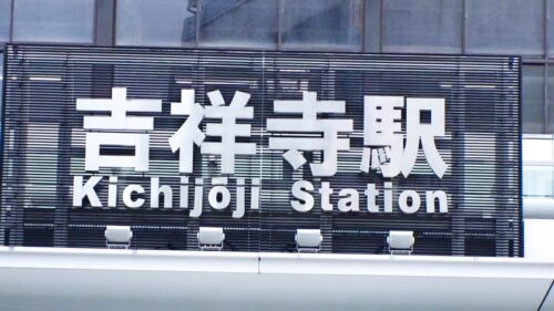 
 「マジ軟派、初撮。 1536 吉祥寺で出会ったほんわか猫耳メイドさん！実は仲良しのお客さんとHまでしてる隠れビッチ！？大人しそうなのは仮の姿！乳を揺らしてヨガりまくる！」