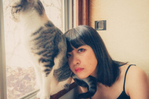 部屋、猫、私。 同人動画