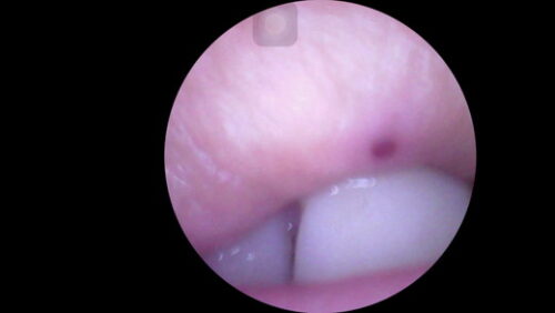 恥ずかしがりながらも見せる小柄な色白貧乳モデルさんを超小型CCDカメラで身体検査映像！ 同人動画