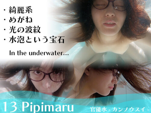 13 Pipimaru 同人動画