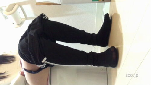 【盗撮】姉のトイレを隠し撮り 同人動画