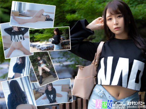 美少女コレクション.001 同人動画