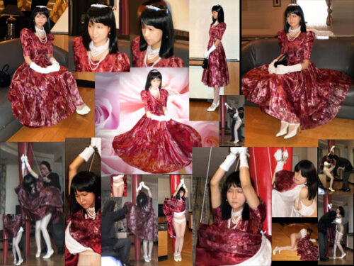 高貴なお嬢様　剥ぎ取られた気品 同人動画