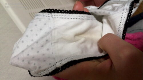 【盗撮】実家暮らしの『姉』の洗濯カゴの服・下着・染みパンをチェック？ 同人動画