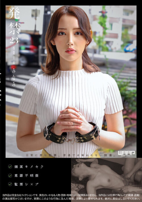 Banned 23: Full-Time Housewife Minami (29)