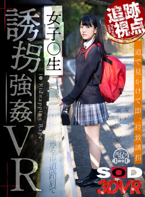 【VR】【追跡視点】女子●生 誘拐強●VR