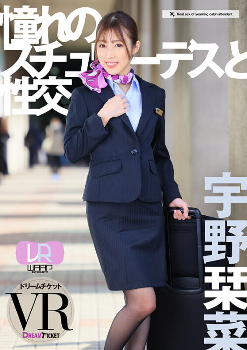 VR Stewardess Fantasy with Akina Uno - WAAP Group VR Renewal