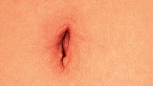 素人ヘアヌード大図鑑～無毛ツルマン女子編