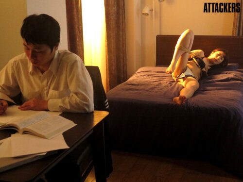 原作・藤崎 玲 女教師姉妹