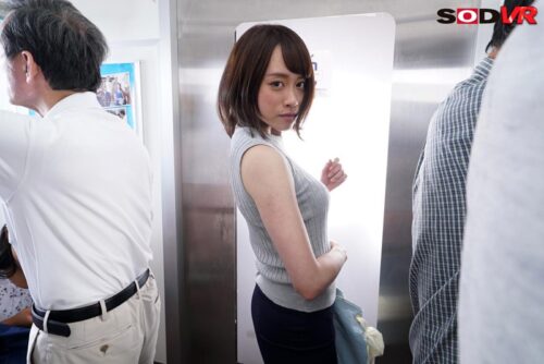 【VR】超リアル 電車痴● 2