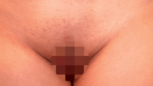 素人ヘアヌード大図鑑～無毛ツルマン女子編