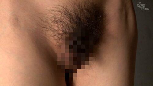 女体フェチ図鑑完全全裸46人