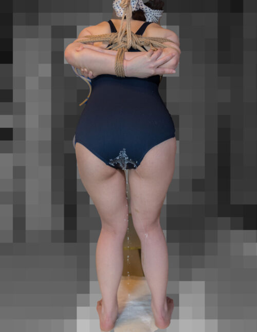 **ドキュメンタリー 彩華 Vol.4 【上流家系の最下層マゾ】排泄プレイに嵌った愛奴は何でも受け入れ、食べ物の挿入～排泄で更なる快楽を覚えさせる　スクール水着での牛乳排泄と消化器官で生クリーム絞り編 コスプレハード